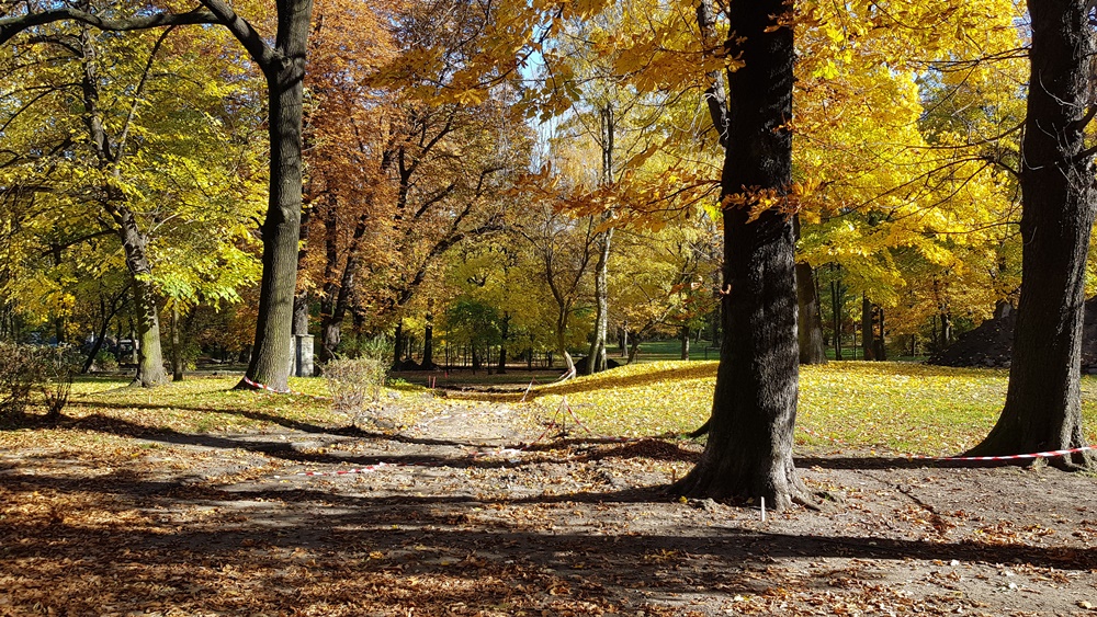 Wycinka drzew w Parku Dworskim 2