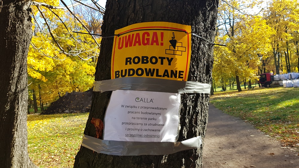 Wycinka drzew w Parku Dworskim 3