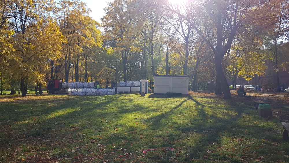 Wycinka drzew w Parku Dworskim 4