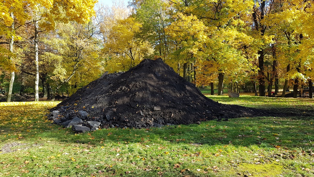 Wycinka drzew w Parku Dworskim 6