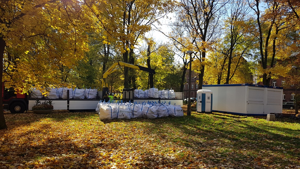 Wycinka drzew w Parku Dworskim 7