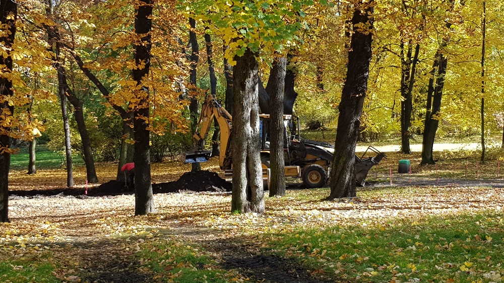 Wycinka drzew w Parku Dworskim 8