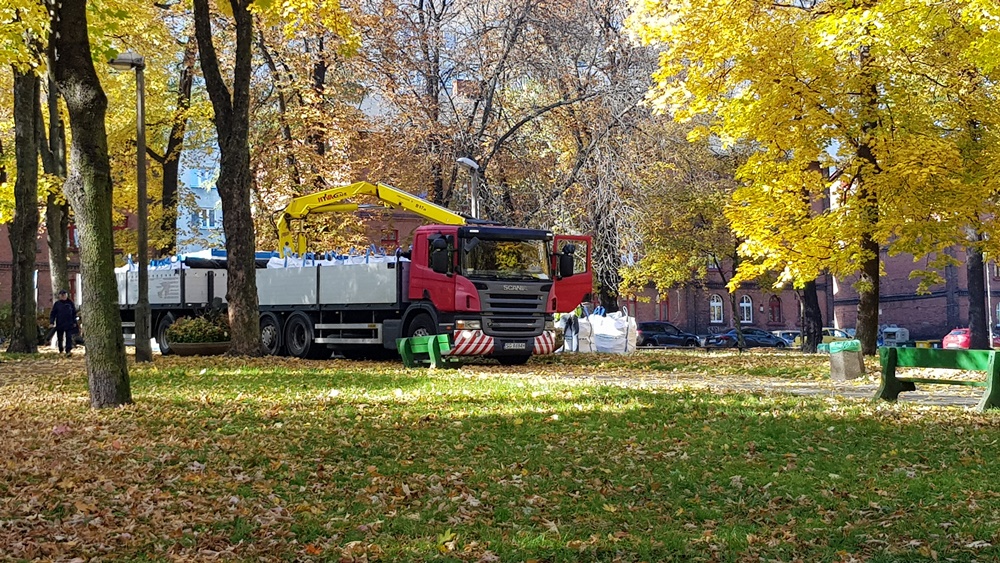 Wycinka drzew w Parku Dworskim 15