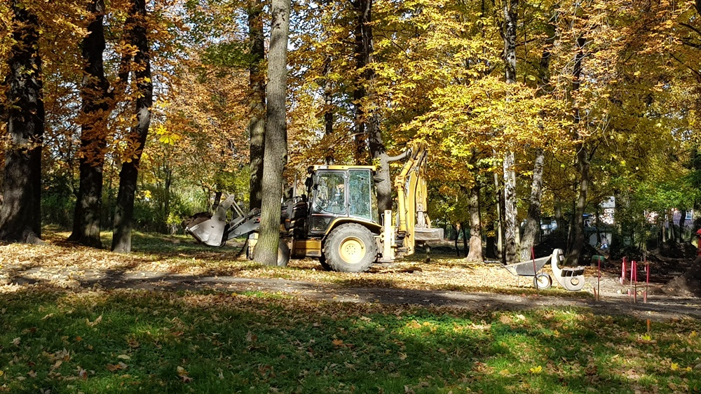 Wycinka drzew w Parku Dworskim 16