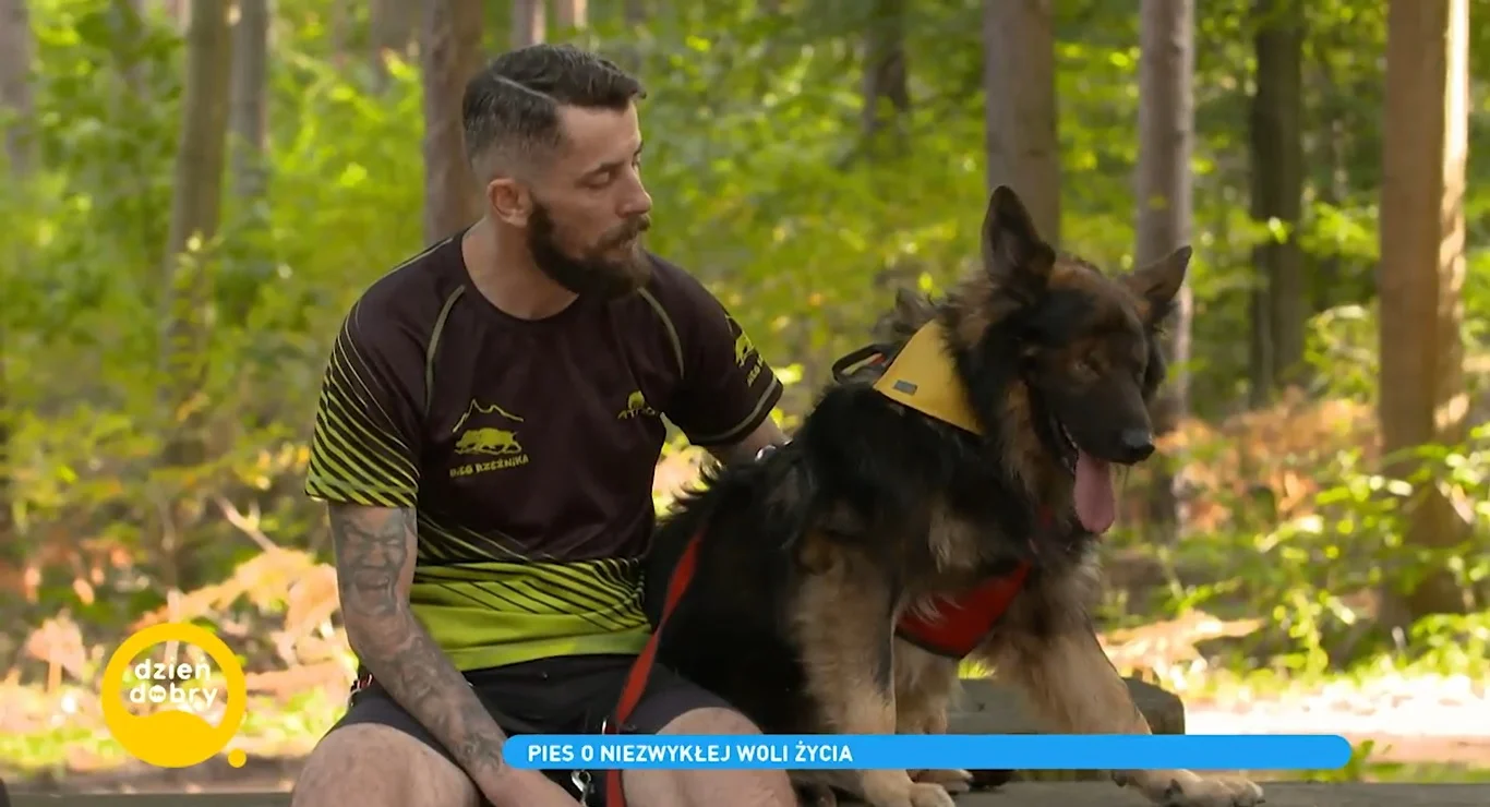 Skatowany i żywcem zakopany pies przeżył. Dziś ma szczęśliwy dom i kochających właścicieli