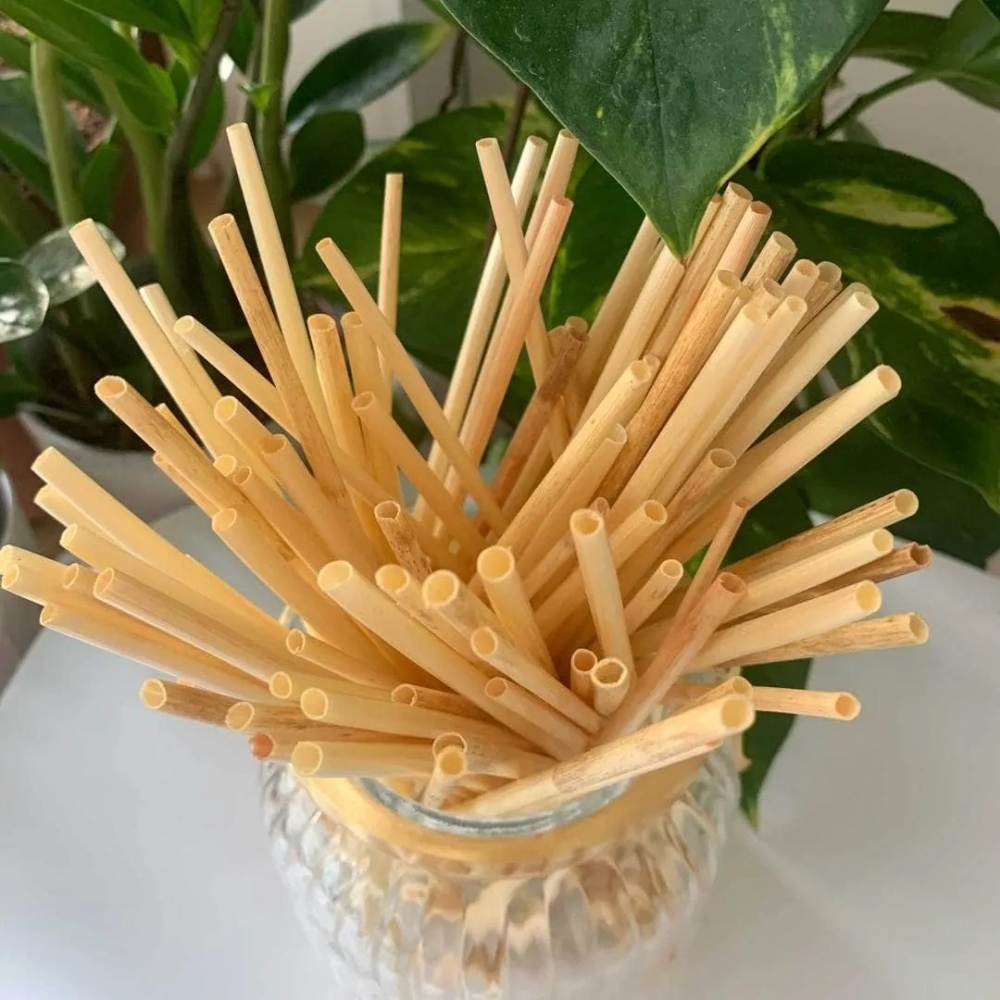 Eco Value wspiera ekologię