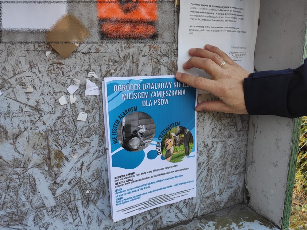 Dzielnicowi zwracają uwagę na prawa czworonożnych stróżów