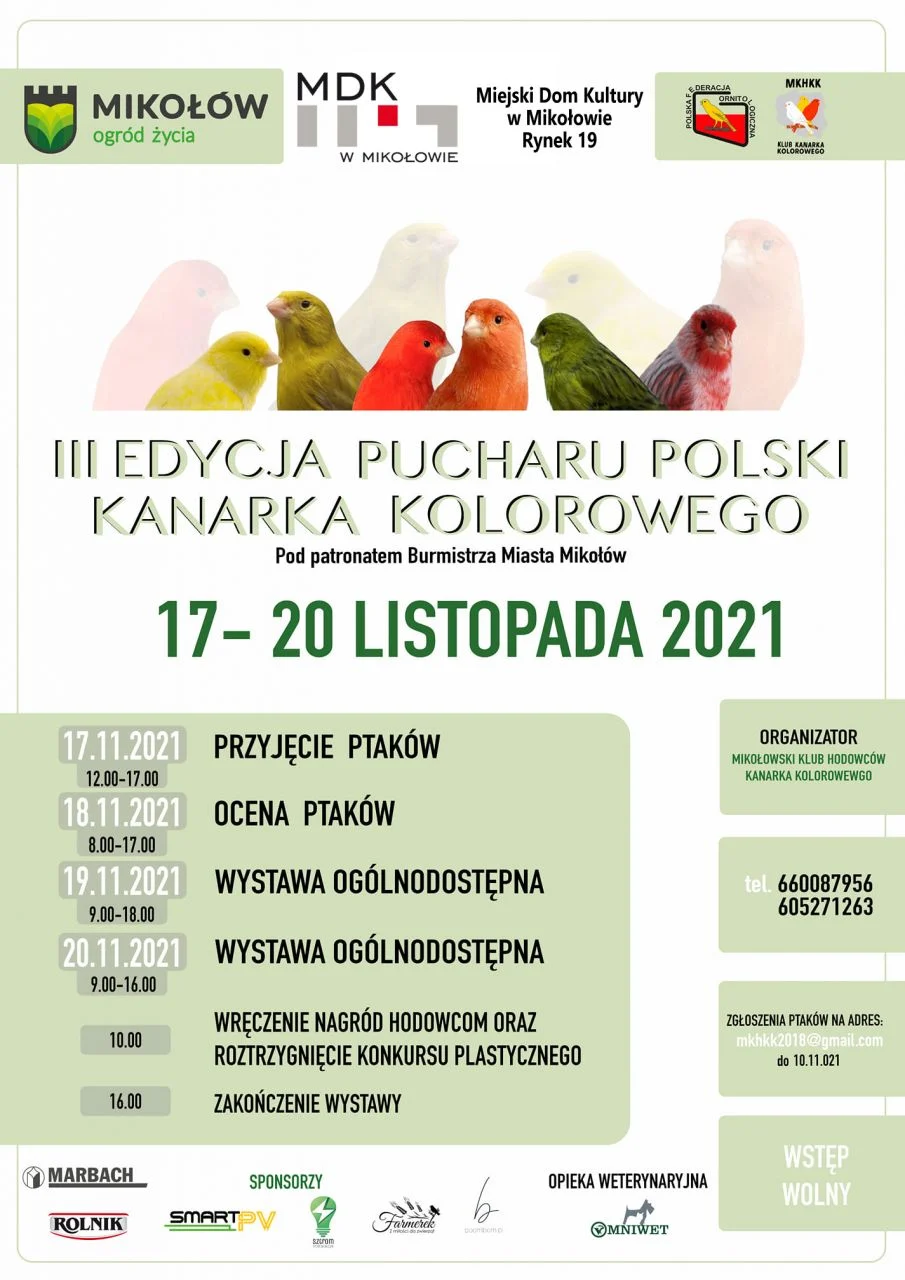 Niedługo Puchar Polski Kanarka Kolorowego