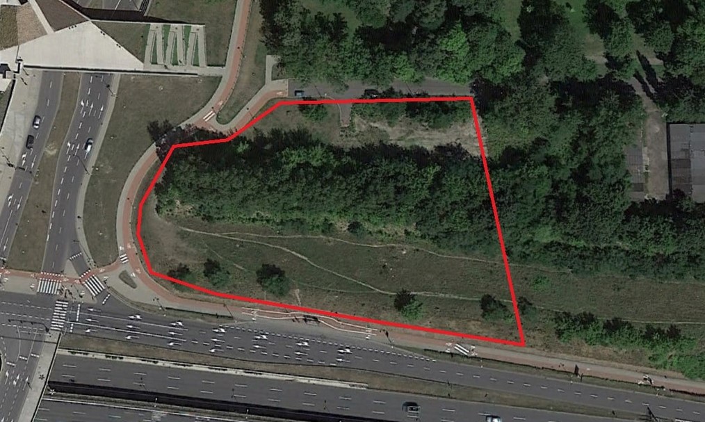 150 drzew pójdzie pod topór? Mieszkańcy Bogucic nie chcą pomnika za ponad 8 milionów