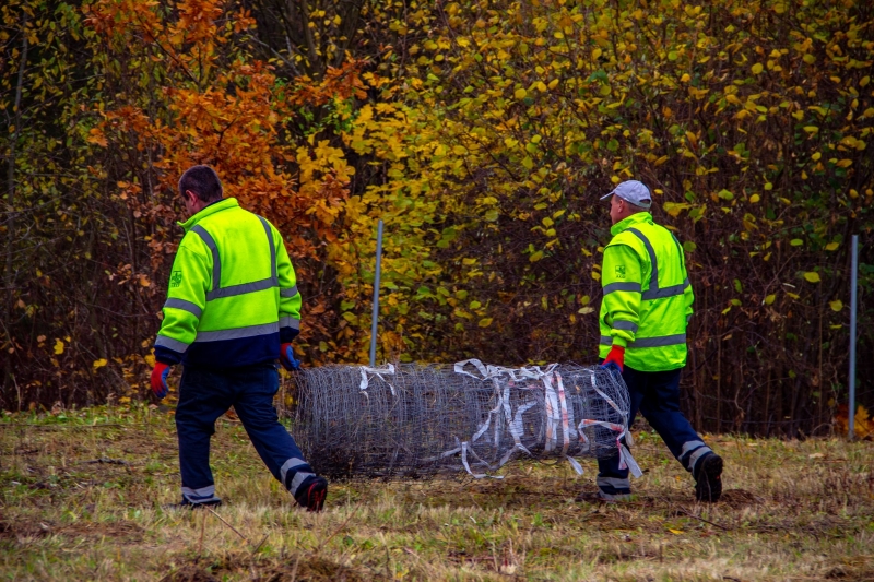 Prace nad Ogrodem Społeczności Parkowej rozpoczęte!