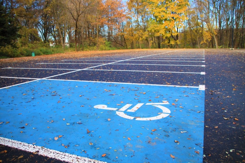 Aleja Łani w pełnej krasie