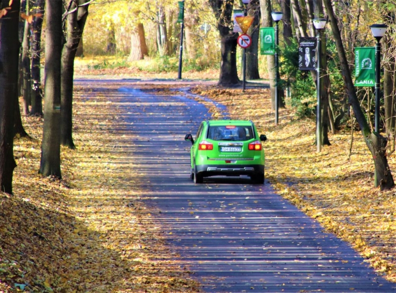 Aleja Łani w pełnej krasie