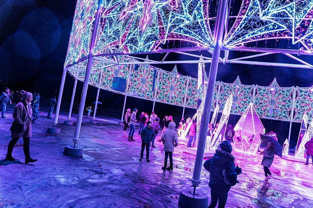 Kąpielisko Leśne w Zabrzu przemieniło się w baśniowy park światła! [ATRAKCJE, CENNIK]