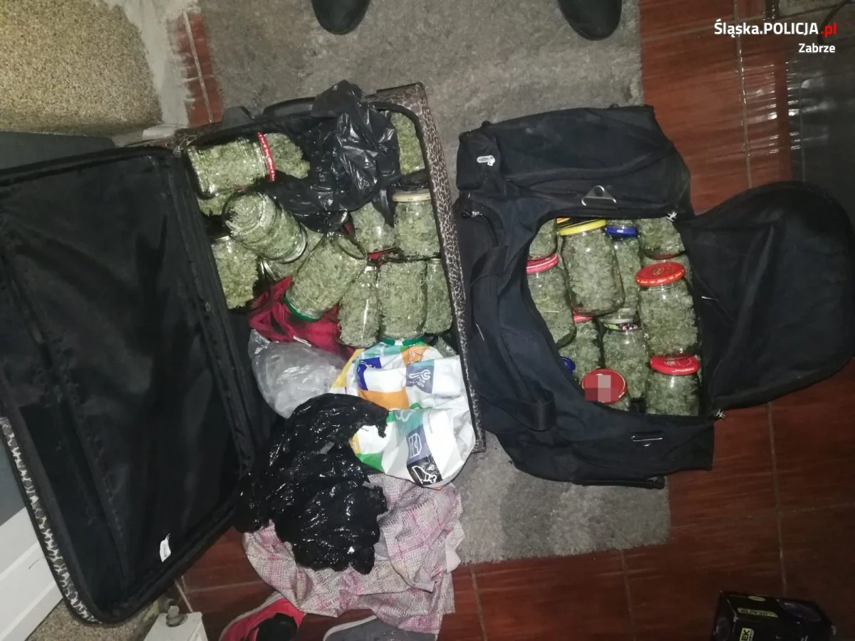 31-latek i jego 39-parnerka zatrzymani za uprawę i posiadanie znacznych ilości narkotyków