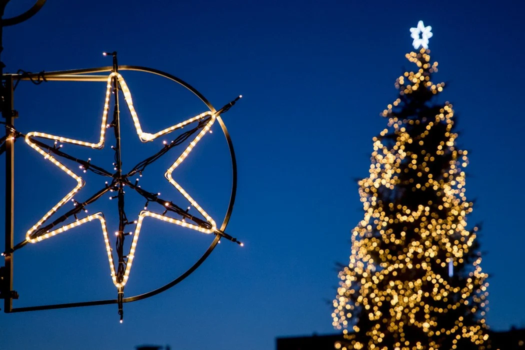 Park Śląski w świątecznym klimacie. Na choince w alei Żyrafy rozbłysnęły świąteczne lampki