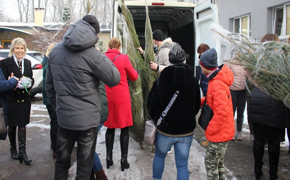 Senator Dorota Tobiszowska rozdawała w Rudzie Śląskiej zielone, świąteczne drzewka
