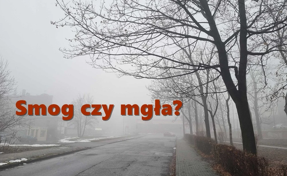 Zły stan powietrza w Rudzie Śląskiej? A może gęsta mgła? 