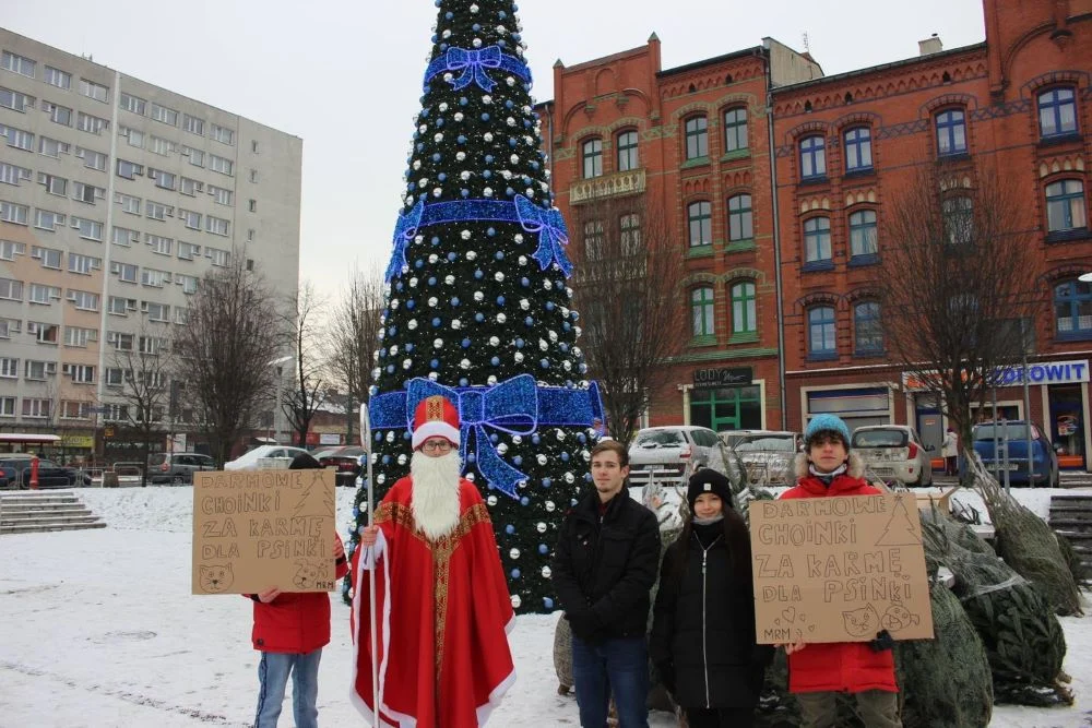 Na rynku trwa akcja „Darmowe choinki za karmę dla psinki”!