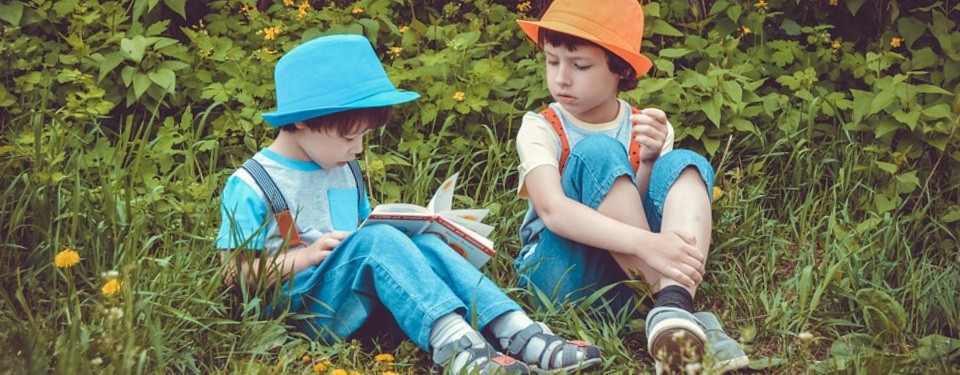 Dofinansowanie na zakup książek dla szkół