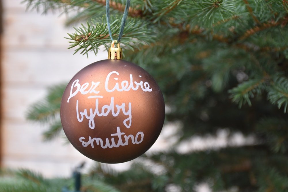 Pozytywna choinka na wodzisławskim Rynku