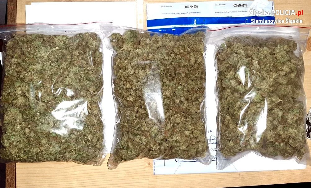 Policjanci zdjęli z rynku ponad kilogram marihuany