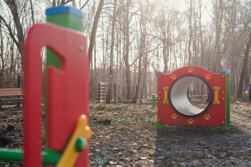 Park leśny na Osiedlu Młodych gotowy