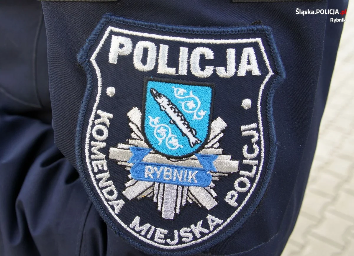 Uratowali szczeniaka przed zamarznięciem
