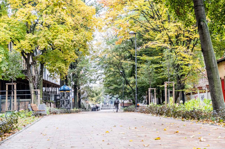 Patron "Ławeczki znanych gliwiczan"