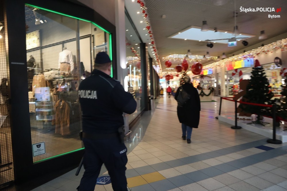 26 - latka odpowie za znieważenie policjantów