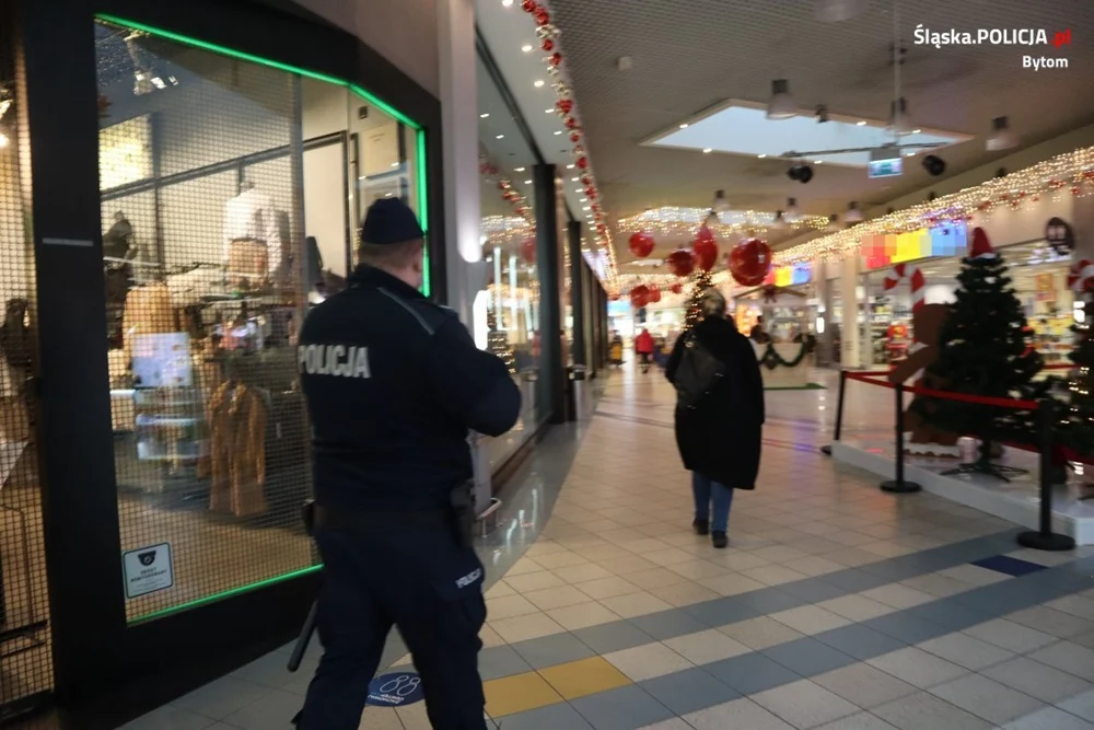 26 - latka odpowie za znieważenie policjantów