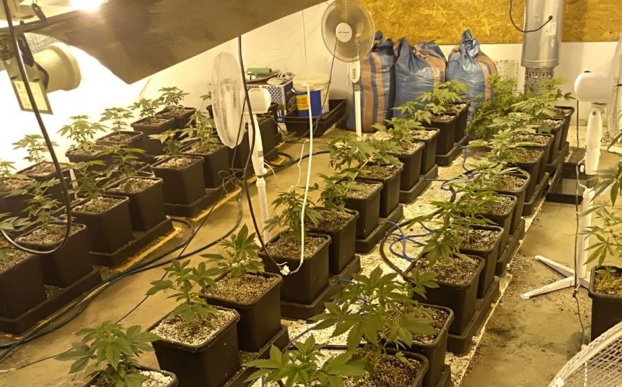 [Film] Sosnowieccy policjanci rozbili narkotykową grupę przestępczą!