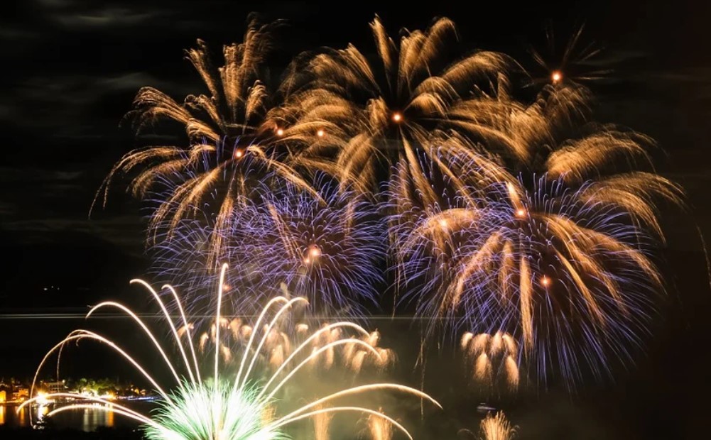 Fajerwerki w Sylwestra? To zły pomysł! Apel radnej w trosce o zdrowie zwierząt i nie tylko