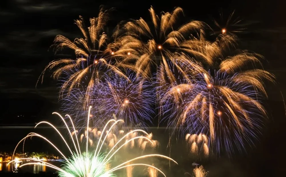 Fajerwerki w Sylwestra? To zły pomysł! Apel radnej w trosce o zdrowie zwierząt i nie tylko