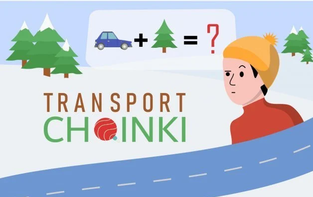 Jak bezpiecznie przewieźć choinkę?