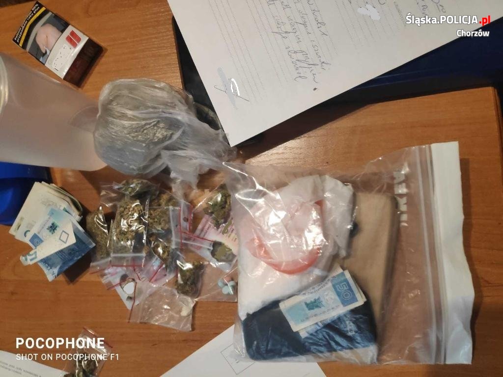 Rodzinny narkotykowy duet. Matka z synem usłyszeli zarzuty