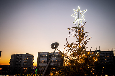 Kolędowanie w Parku Śląskim