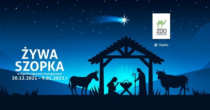 W chorzowskim ZOO można już podziwiać żywą szopkę!