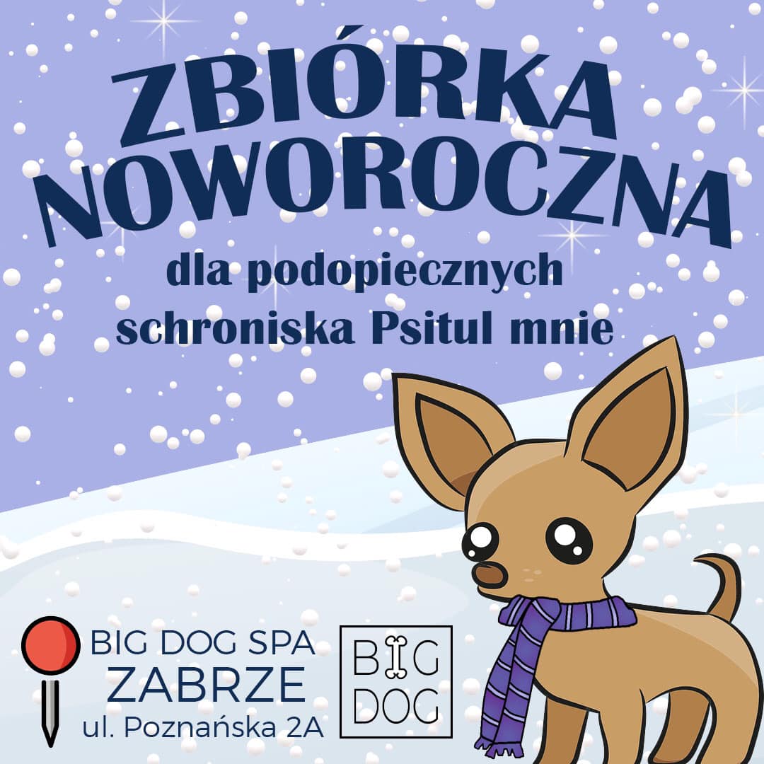 Trwa Noworoczna Zbiórka na rzecz zabrzańskiego schroniska "Psitul mnie"