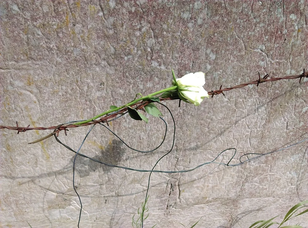 Rusza Konkurs Recytatorski "W kręgu poezji i prozy lagrowej więźniarek KL Ravensbruck"!