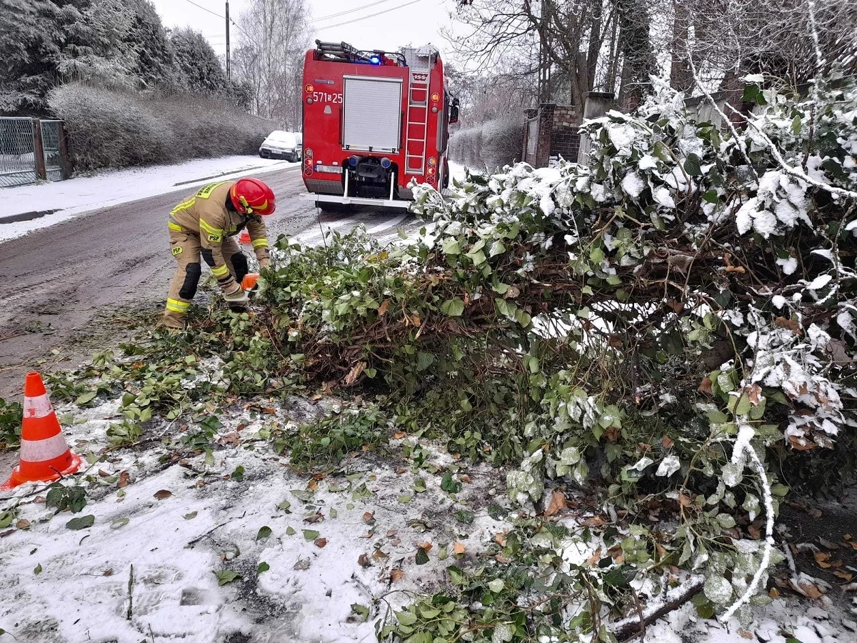 Połamane drzewa, kolizje i śliska nawierzchnia. Podsumowanie skutków załamania pogody