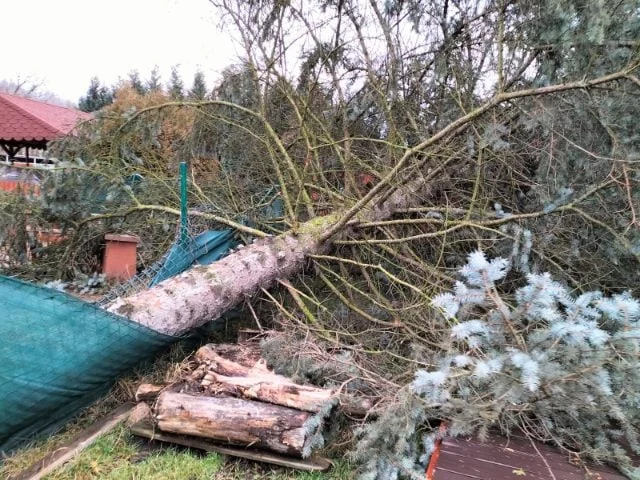 Wichura w Rudzie Śląskiej: W niedzielę strażacy interweniowali już 21 razy!