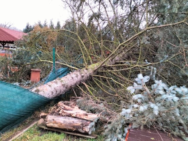 Wichura w Rudzie Śląskiej: W niedzielę strażacy interweniowali już 21 razy!