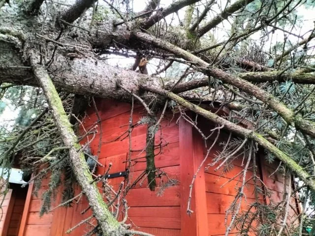 Wichura w Rudzie Śląskiej: W niedzielę strażacy interweniowali już 21 razy!