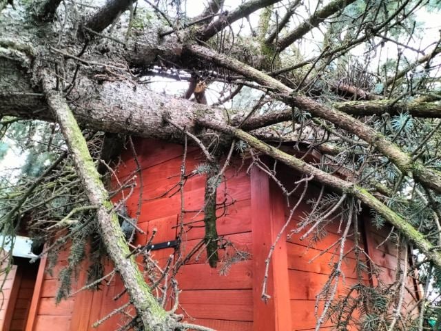 Wichura w Rudzie Śląskiej: W niedzielę strażacy interweniowali już 21 razy!