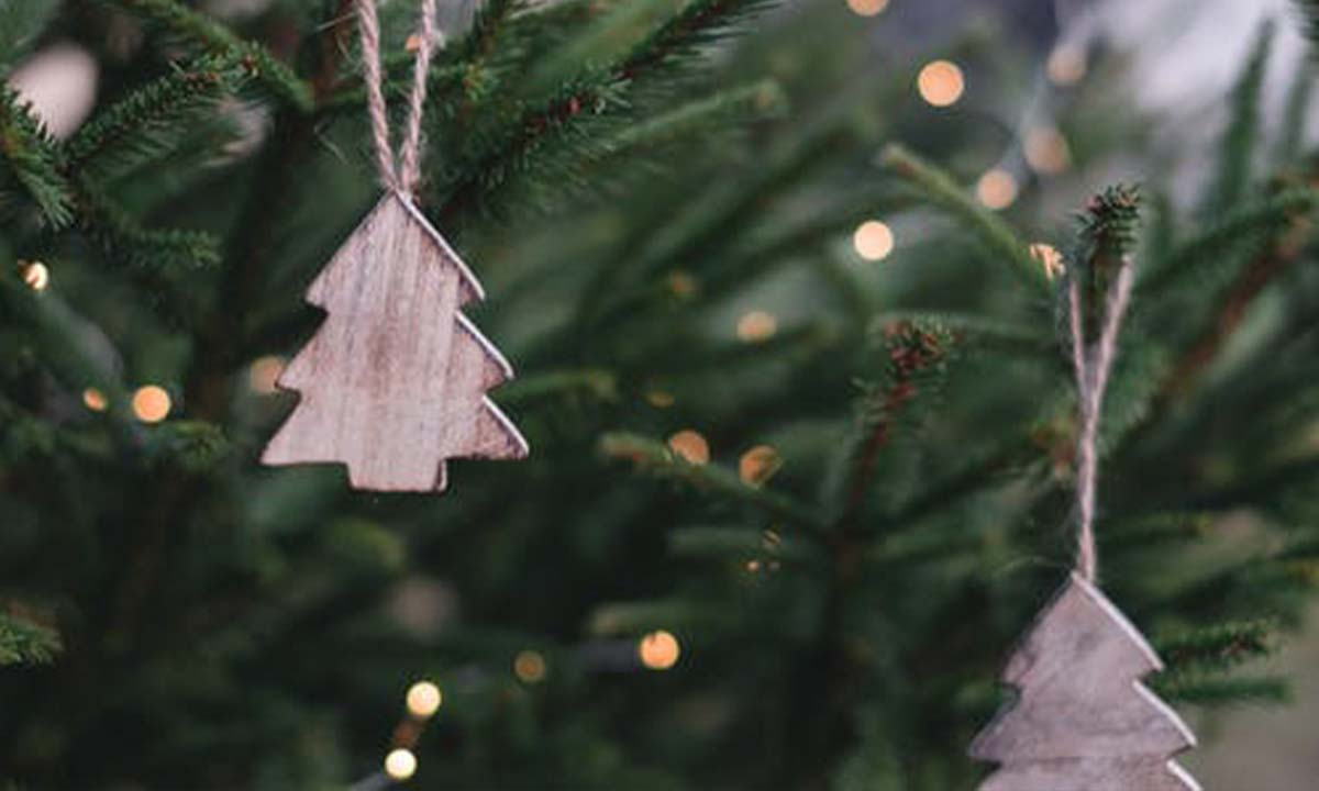 Drugie życie bożonarodzeniowej choinki. Przyłącz się do akcji