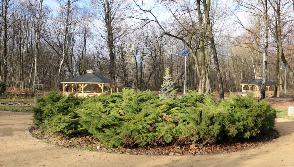 Park w Brzezinach gotowy