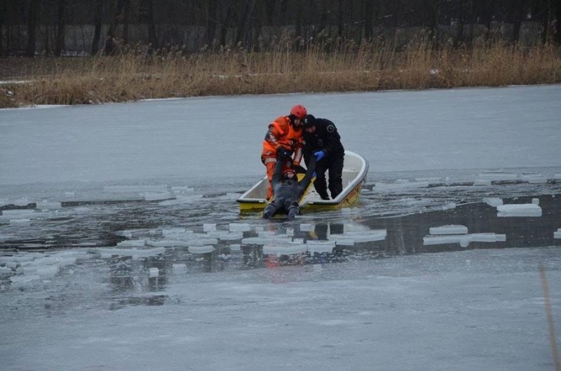 Pokazy szkoleniowe ratowania na lodzie