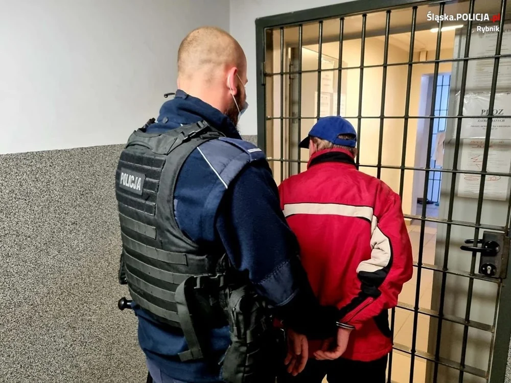 55-latek usłyszał zarzut zabicia kota