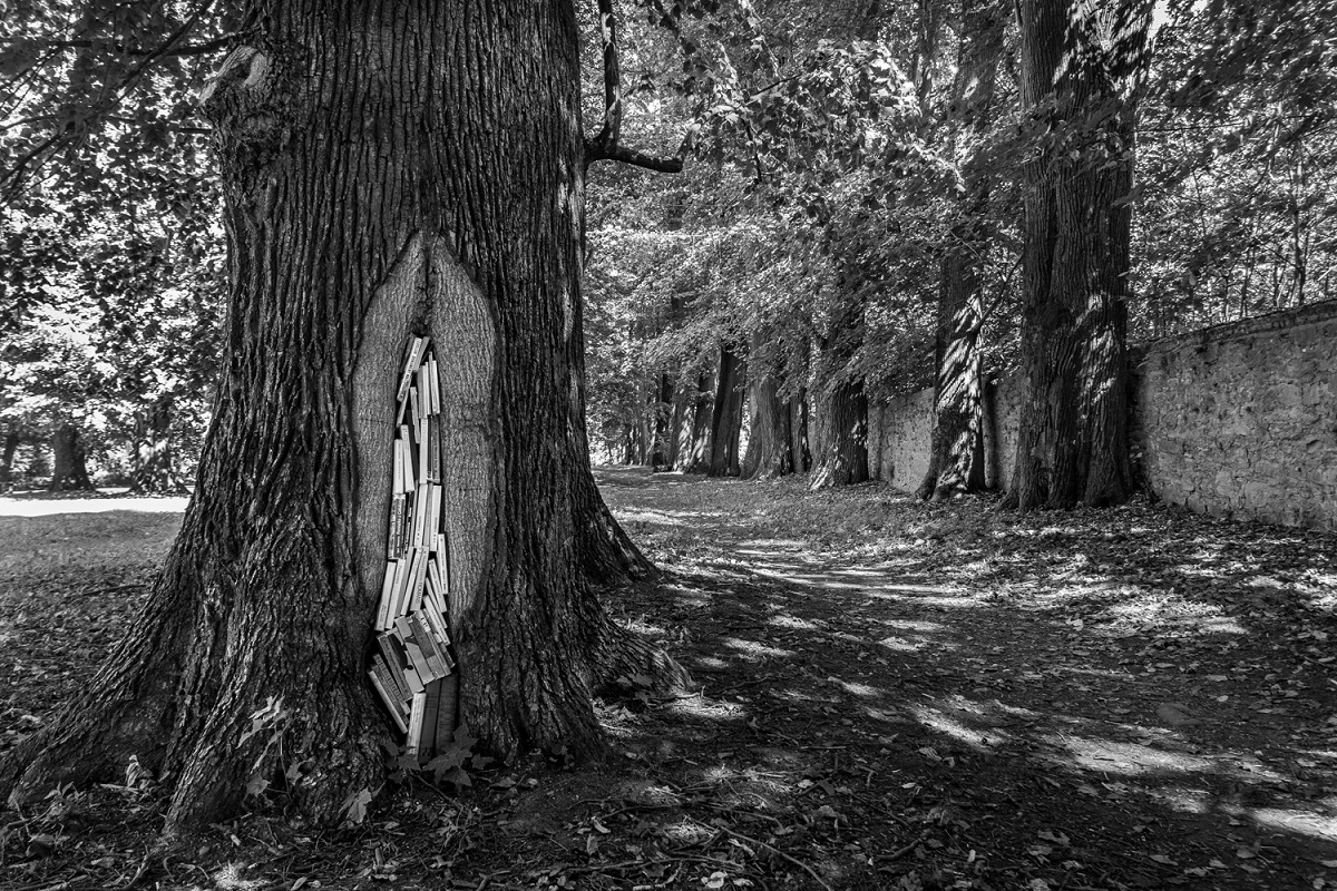 Otwarcie wystawy fotografii Kamila Myszkowskiego "Papierowe krajobrazy"