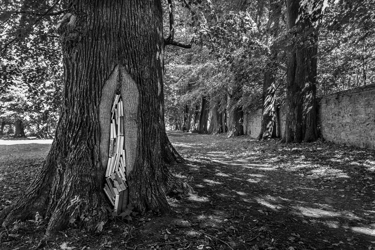 Otwarcie wystawy fotografii Kamila Myszkowskiego "Papierowe krajobrazy"